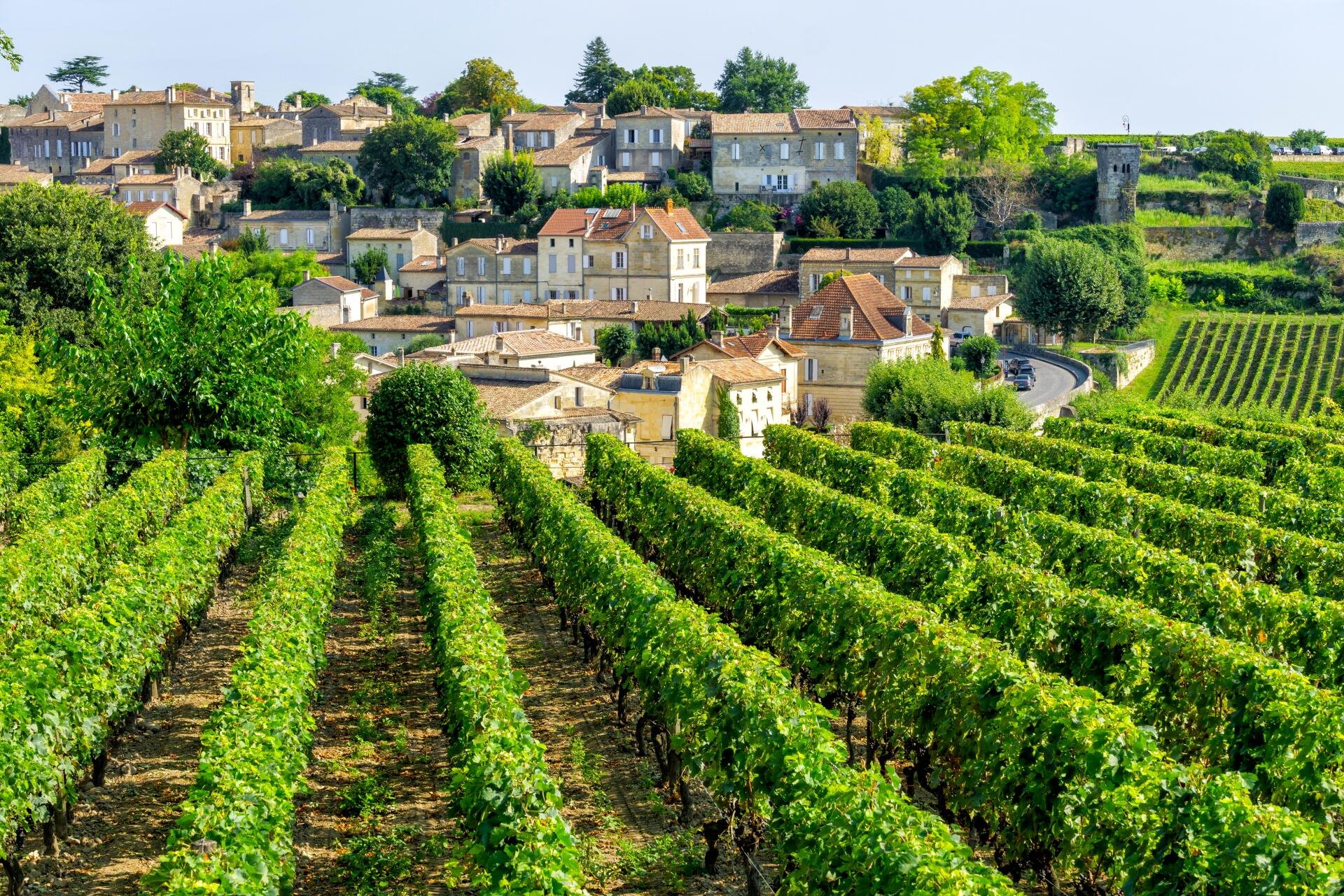 Saint-Émilion ist mit 2'082 Hektar (Stand 2025) die grösste Weinbaugemeinde in der Gironde.