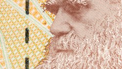 Charles Darwin veröffentlichte seine Evolutionstheorie bereits im Jahr 1859.