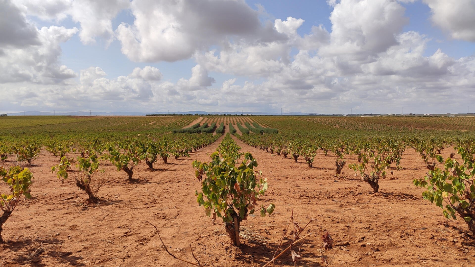 In der spanischen Region Extremadura könnten wegen des Klimawandels bis Ende des 21. Jahrhunderts Bedingungen wie in Marokko oder Syrien herrschen.