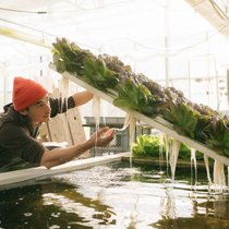 Die Wasserzauberer von Solos: Aquaponik-Anlagen vom Feinsten.