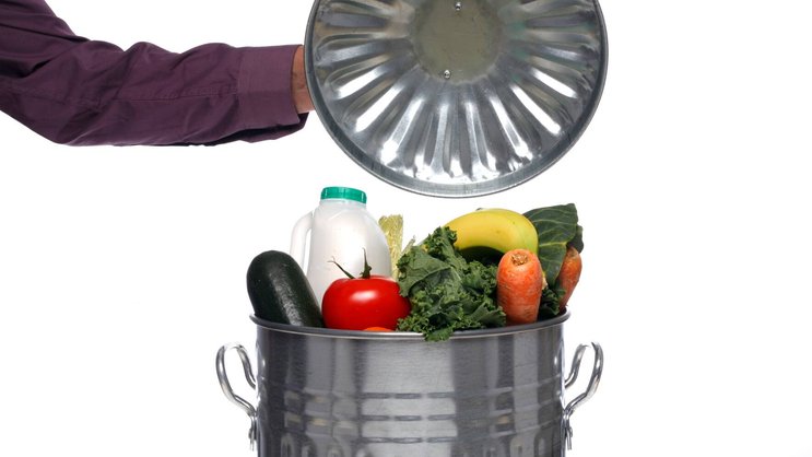 Food Waste: Der Wert der weggeworfenen Lebensmittel liegt bei etwa 500 bis 1000 Franken pro Haushalt und Jahr.