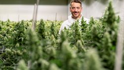 Von Coca-Cola zu Cannabis: Marry-Jane-CEO Rico Üslük ist ein Konsumgüterprofi. Er war lange Manager beim US-Konzern Coca-Cola.