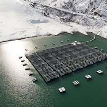 Solarzellen: Sie schwimmen auf dem Lac des Toules, einem Stausee in Bourg-Saint-Pierre VS, 1810 Meter über dem Meer.