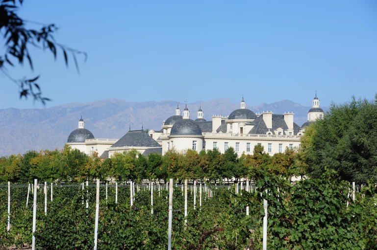 Auf Château Changyu Moser XV werden rund 250 Hektar Cabernet Sauvignon auf einer Höhe von 1'200 Meter über Meer angebaut. Weil es im Winter bis zu minus 25 Grad kalt wird, werden die Rebstöcke zu ihrem Schutz eingegraben.