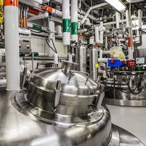 Genentech: In riesigen Tanks werden Zellkulturen gezüchtet.Martin Klimek