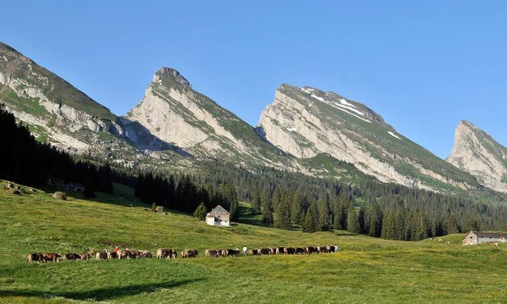 kanton-st-gallen_1.jpg