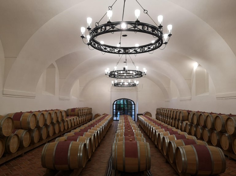 Im Burgenland keltert Schloss Halbturm aussergewöhnlichen Merlot.