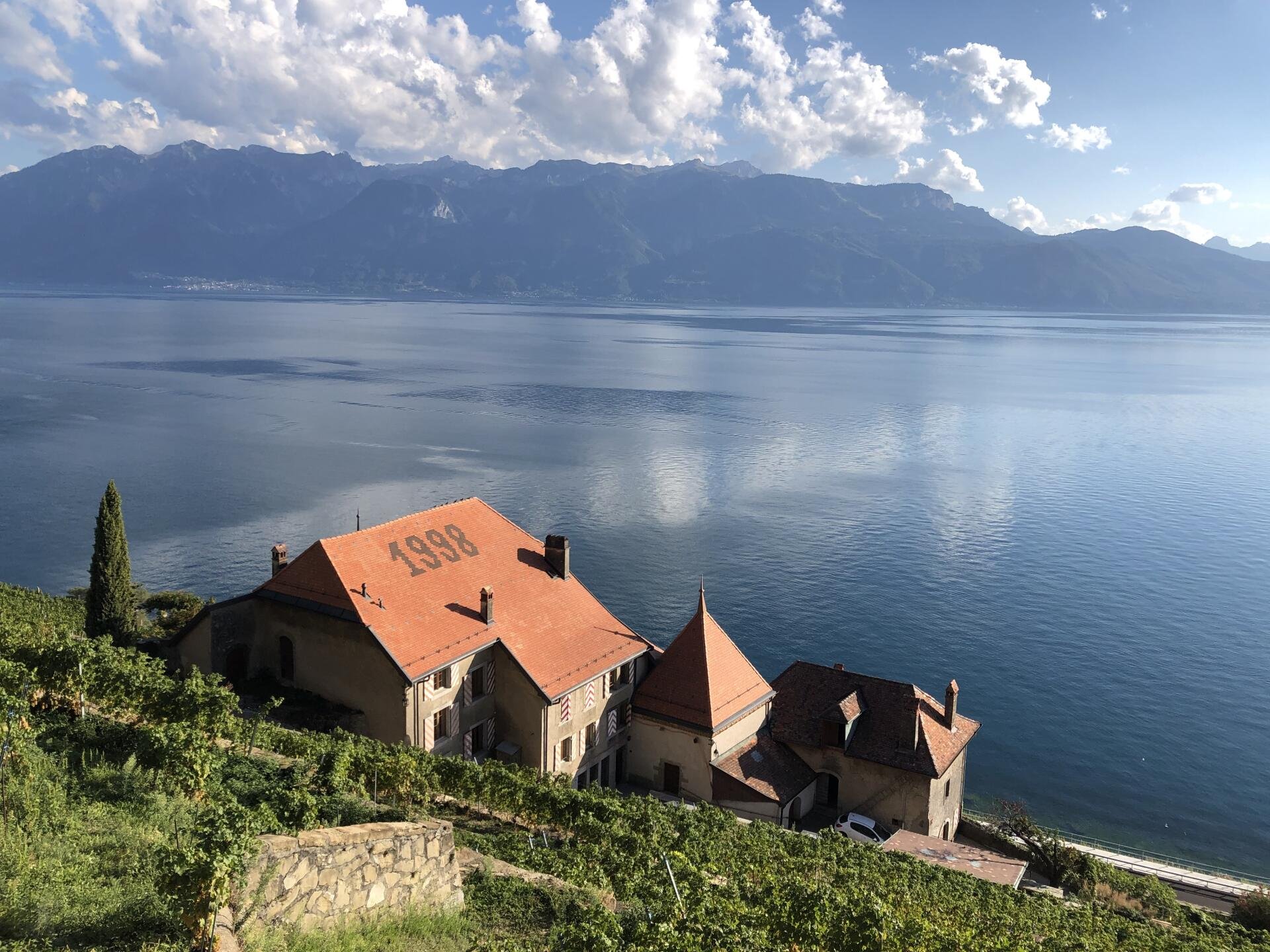 Weinlese auf dem Clos des Abbayes, das der Stadt Lausanne gehört. Was für eine Aussicht!