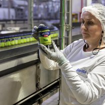 Das von Barilla verarbeitete Basilikum von Barilla stammt zu 100 Prozent von italienischen Bauern.