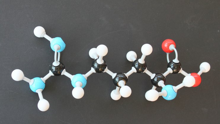 Arginin: Aminosäure L-Arginin hilft Krebspatienten. Wikipedia