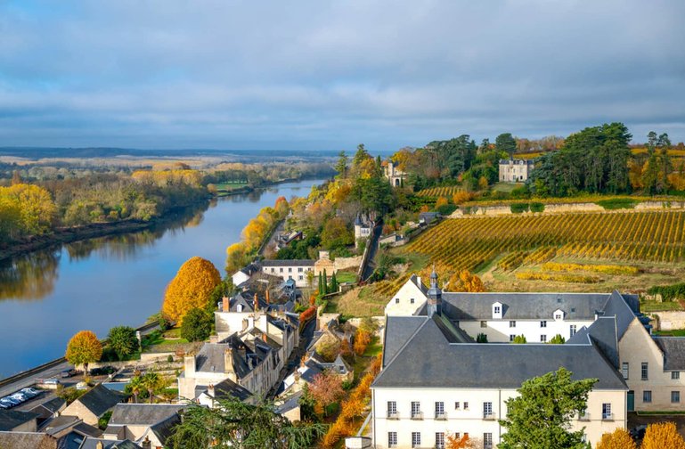 Im Loire-Tal ist die Gegend um das Städtchen Chinon die Hochburg für Cabernet Franc.