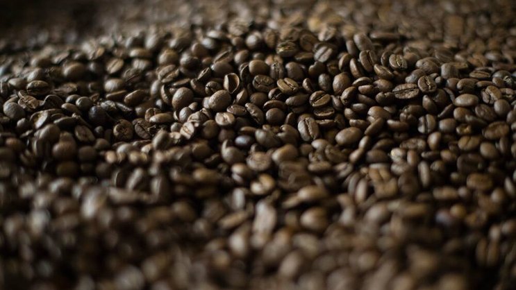 Kaffeeland: Mehr als zwei Drittel des weltweiten Rohkaffee-Handels läuft über die Schweiz.Keystone