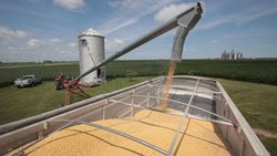 US-Landwirtschaft: Höhere Stahlpreise und Zölle auf Agrarexporte nach China werden den Farmern immens schaden.