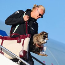 Erling Braut Haaland landet in Oslo nach der WM in den USA: Der Fussballstar trägt dabei eine neue Tasche von Dolce&Gabbana und einen präparierten Waschbären. 