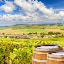 Weinberge der Champagne: Die Region ist bekannt für ein Produkt, hat aber mehr zu bieten.