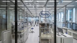 Ein Labor im Roche Forschungs- und Entwicklungszentrum in Basel.