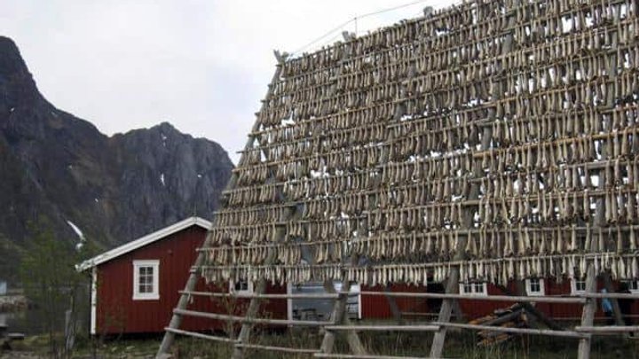 norwegen_0.jpg
