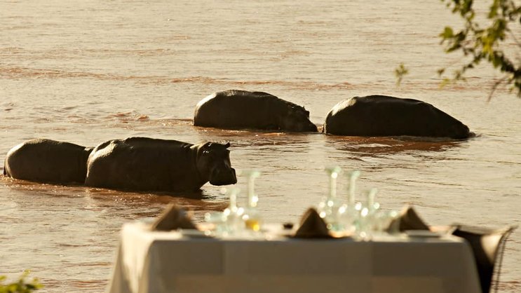 Nachts, wenn sich der müde Tourist am «Hippo Point» schlafen legt, steigen die Kolosse prustend aus dem braunen Ruaha River.