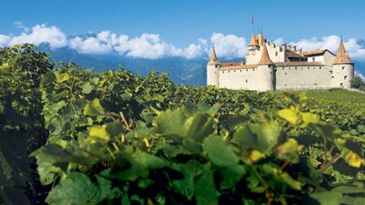 Château von Aigle: «Les Murailles» gehört zu den bekanntesten Chasselas- Weinen.