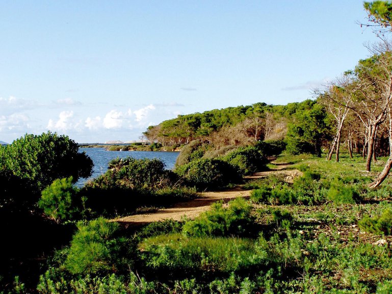 Die Privatinsel liegt im Naturreservat der Stagnone di Marsala.