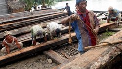 Regelwerke allein werden die Umwelt nicht retten: Illegale Abholzung in der Provinz Aceh Besar in Indonesien.