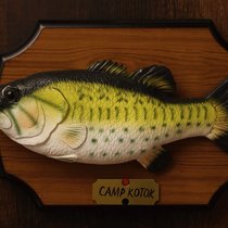 Ein exklusive Wirtschaftstreffen «Camp Kotok» im traditionellem Leen's Lodge Resort am Ufer des West Grand Lake in Grand Lake Stream, Washington County, Maine. 