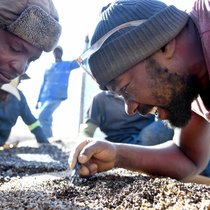 In Botswana stammt ein Drittel der Staatseinnahmen aus der Diamantenproduktion. Der Preisverfall lastete auf der Wirtschaft und hat sogar zu einem politischen Erdbeben geführt.