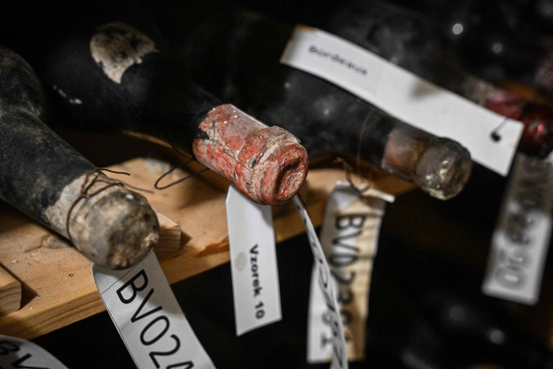 Die Flaschen aus dem Kellerfund von 1985 auf Schloss Bečov in der Tschechei.