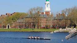 Trumps Auflagen für die Harvard University werden scharf kritisiert.