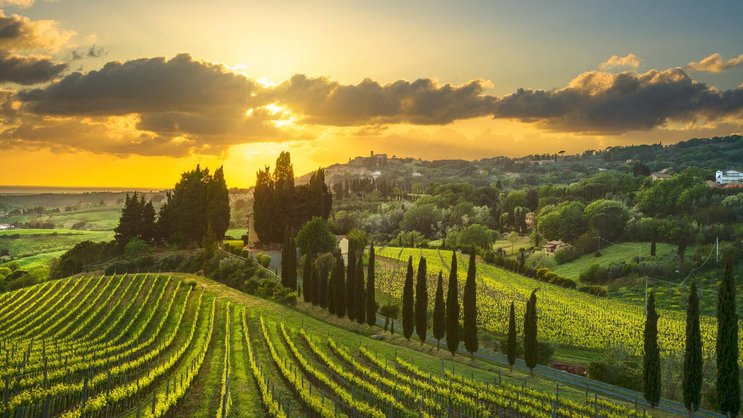 Italien führt zwar das Ranking der weltweiten Weinproduktion an. Doch der Output in den Regionen ist heterogen. In der Toskana schrumpft die Weinproduktion 2025 um 12,5 Prozent gegenüber 2024.