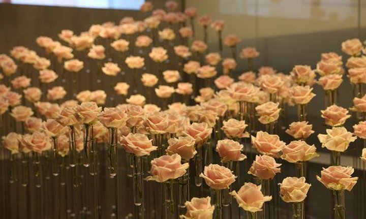 bluemli-baselworld.jpg
