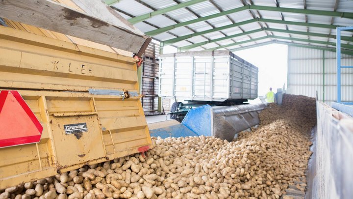 Knapp 90 Prozent der Zutaten bezieht McDonald’s von Schweizer Lieferanten: die Pommes frites von der Fenaco-Tochter Frigemo