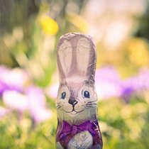 Schoko-Osterhase vor Blumenbeet.