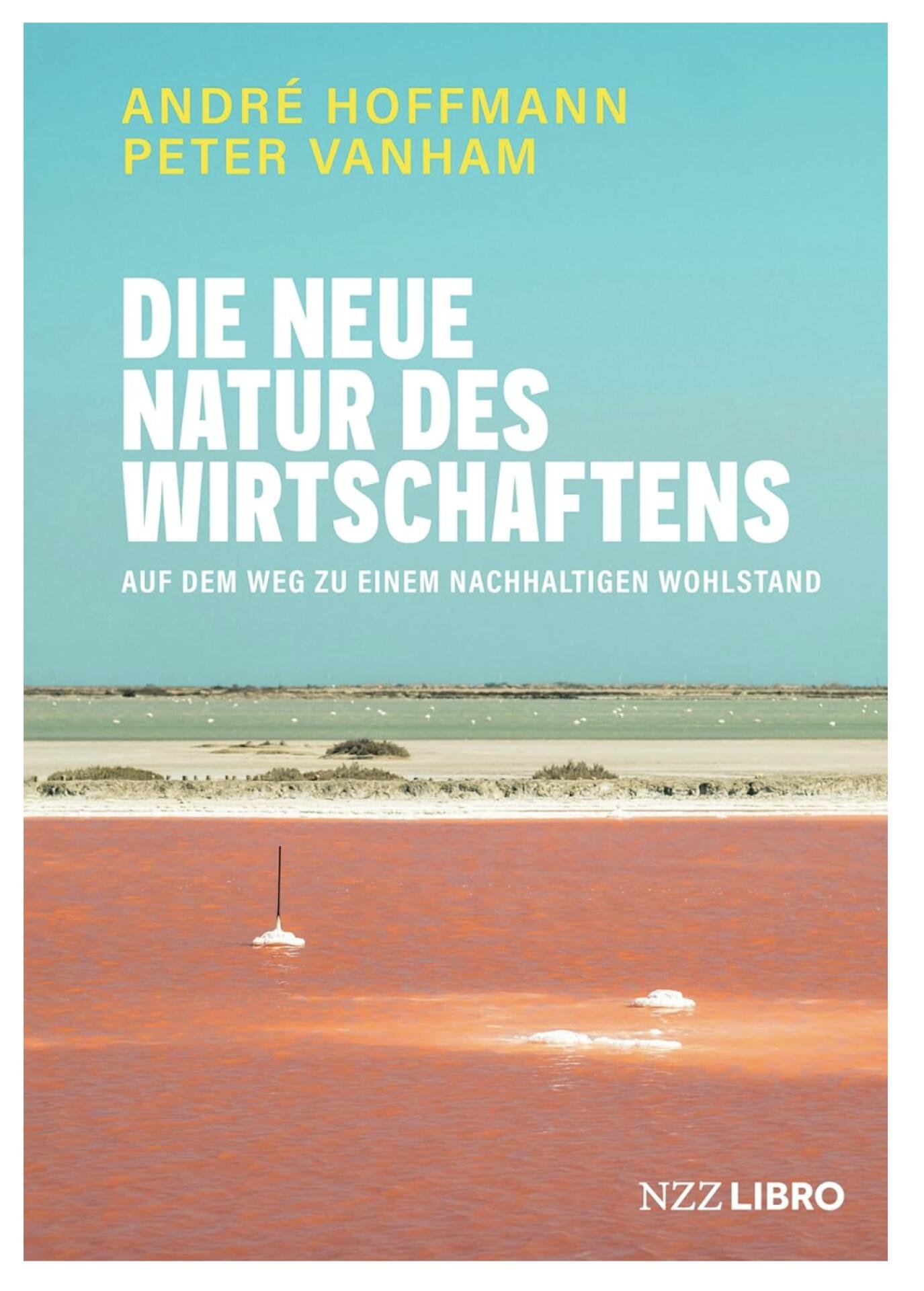Hoffmann plädiert für langfristige Wachstumsperspektiven. Dazu publizierte er zusammen mit dem belgischen Wirtschaftsjournalisten Peter Vanham «Die neue Natur des Wirtschaftens: Auf dem Weg zu einem nachhaltigen Wohlstand», 292 Seiten, erschienen im Juni 2025, NZZ Libro.