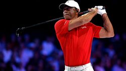 Tiger Woods hat dazu beigetragen, die Golfsimulationstechnologie populär zu machen. 