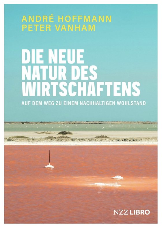 Hoffmann plädiert für langfristige Wachstumsperspektiven. Dazu publizierte er zusammen mit dem belgischen Wirtschaftsjournalisten Peter Vanham «Die neue Natur des Wirtschaftens: Auf dem Weg zu einem nachhaltigen Wohlstand», 292 Seiten, erschienen im Juni 2025, NZZ Libro.