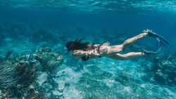 Mit Taucherbrille und Schnorchel entdecken: Das Belize Barrier Reef erstreckt sich entlang der Küste von Belize.