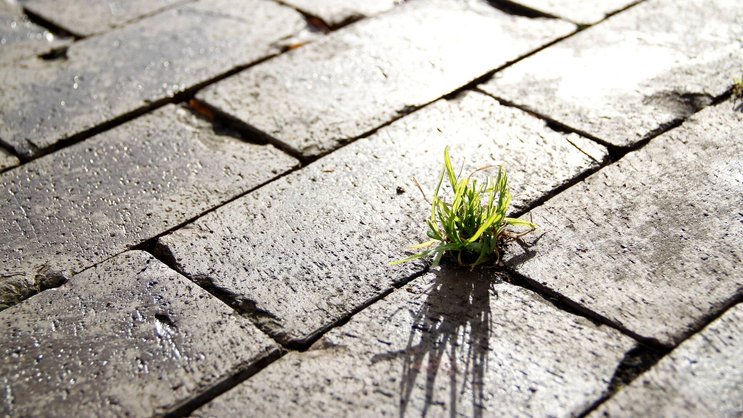 Impact Investing: Soll anders als Philanthropie auch einen Ertrag einbringen.