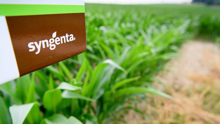 Syngenta: Zieht ein amerikanisches Tech-Pflänzli nach Europa.