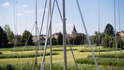 Baugespann: Die Zahl der bewilligten Mietwohnungen steigt wieder deutlich an.