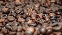 Geröstete Kaffeebohnen.