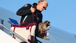 Erling Braut Haaland landet in Oslo nach der WM in den USA: Der Fussballstar trägt dabei eine neue Tasche von Dolce&Gabbana und einen präparierten Waschbären. 
