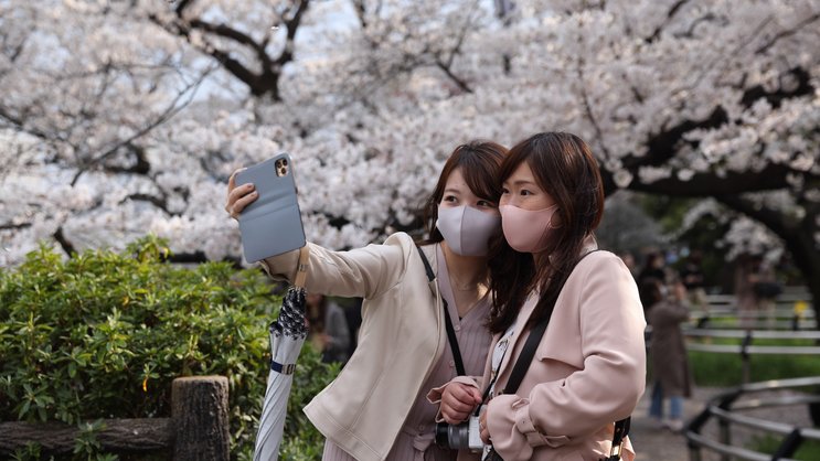Tokio während der traditionellen Kirschblüte: Japaner gelten als reiselustig.