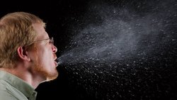 Niesen: Dreissig Prozent der Bevölkerung sind Allergiker, Tendenz steigend. Wikimedia/ James Gathany/ CC