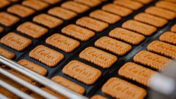Die belgischen Lotuskekse in der Produktion.