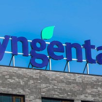 Das Logo von Syngenta an einem Firmengebäude in Sisslen (Januar 2021).