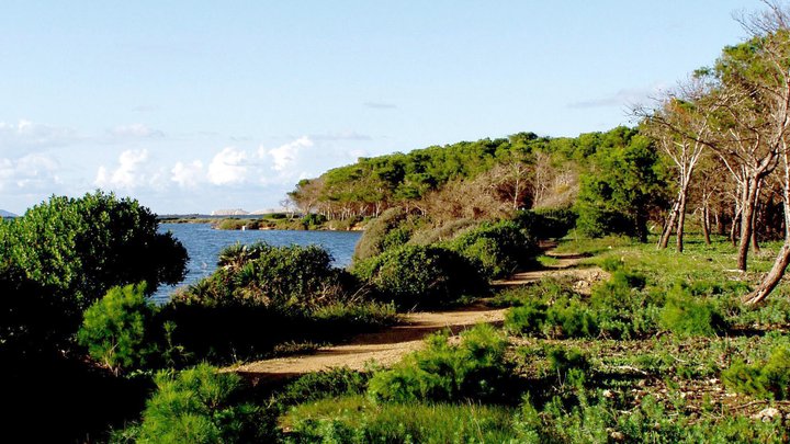 Die Privatinsel liegt im Naturreservat der Stagnone di Marsala.