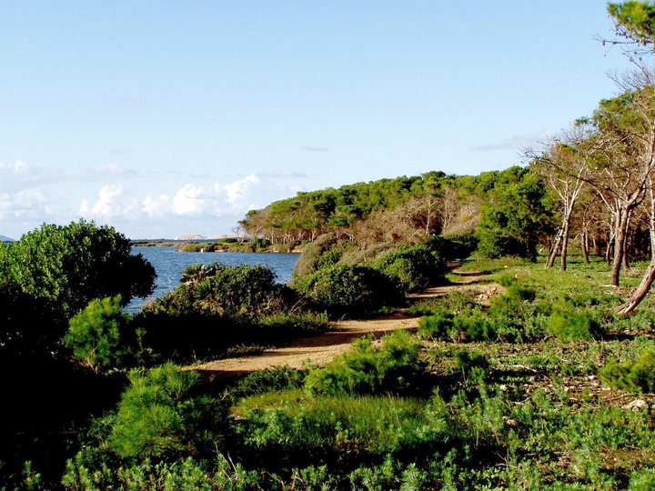 Die Privatinsel liegt im Naturreservat der Stagnone di Marsala.