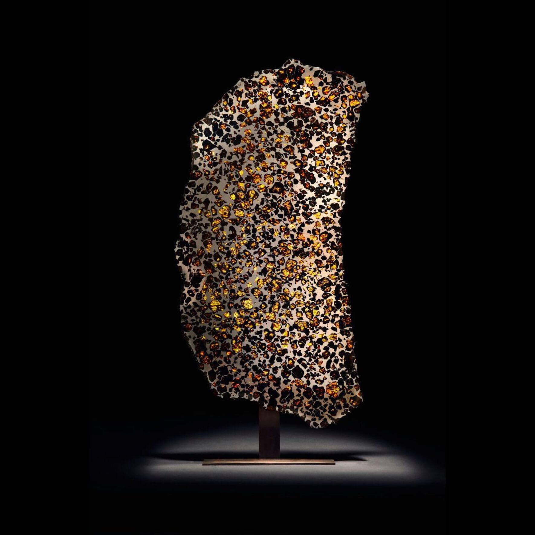 Eine Scheibe des Fukang-Meteoriten.