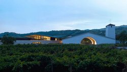 Seit 1966 sind der Turm sowie der flache Giebel mit dem grossen Bogen die Wahrzeichen der Mondavi Winery im Napa Valley. Links davon entsteht der neue Hospitality-Bereich.